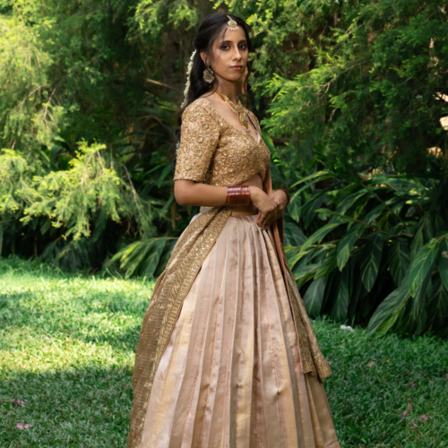 Gold Kanjeevaram Pattu Lehenga with Lavender Tint